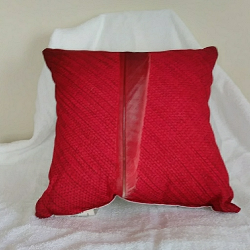 A Red Feather Pillow